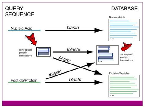 Blast Biotechnology Example 的图像结果