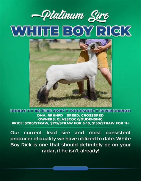 White Boy Rick - Reproduction Specialty Group