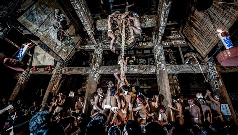 Tradition 的图像结果