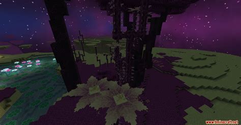 Image result for Better End Forge Mod