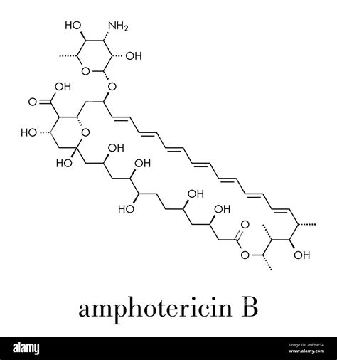 Structure Of Amphotericin B
