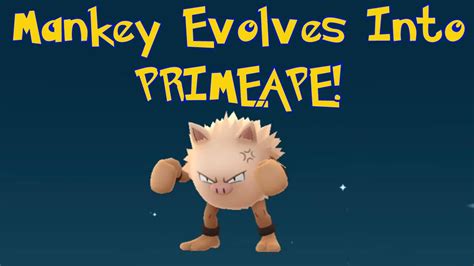 Pokemon Mankey Evolution Chart 的图像结果