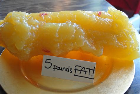 What Is 20 Pounds Of Fat Look Like at Raymond Terrell blog