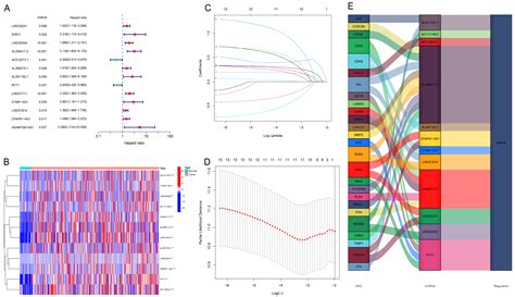 Anoikis-Related Long Non-Coding RNA Signatures to Predict Prognosis and ...