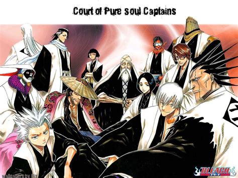 Anime: Bleach Captains