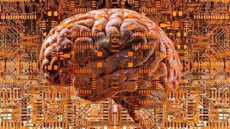 Deep Learning Neural Networks 的图像结果