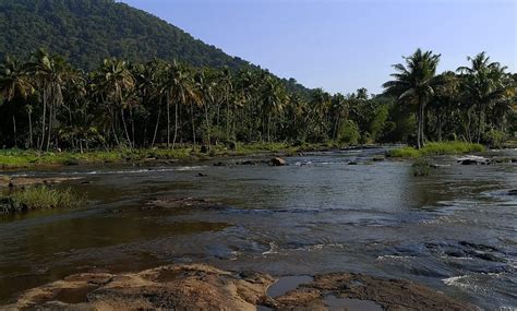 THE ANCHORAGE ATHIRAPILLY RESORT (Chalakudy, Kerala) - Inn Reviews ...