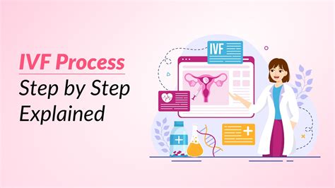 IVF Procedure Explained 的图像结果