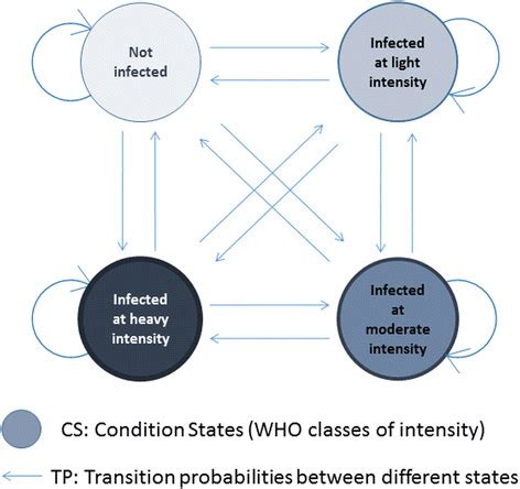 Image result for Transition Matrix for Python