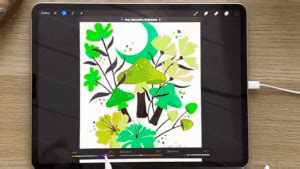 Color Jitter Procreate 的图像结果