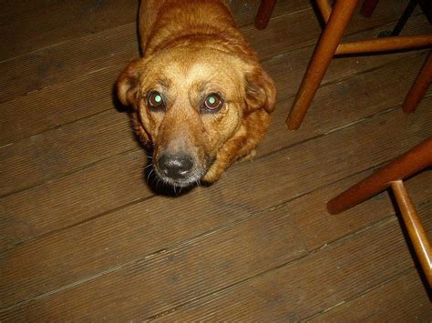 MARIA YANNIS CAFE BAR (2025) All You Need to Know BEFORE You Go (with ...