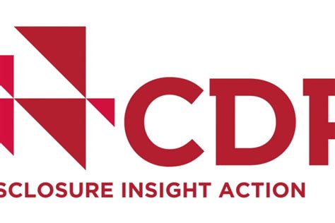 CDP Languages 的图像结果