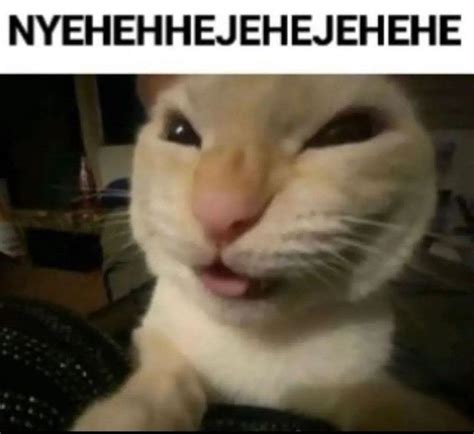 Image result for Writing Program Code On Paper Meme