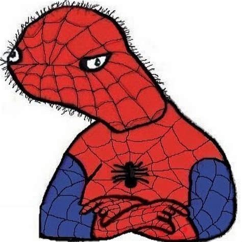 Image result for Spoderman CS