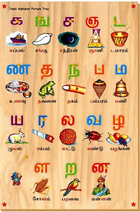 SKILLOFUN Tamil Alphabet Picture Tray Price in India - Buy SKILLOFUN ...