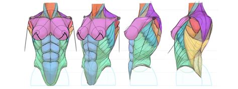 How to Draw Anime Characters