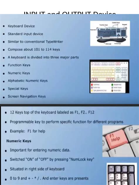 Image result for Input or Output Device