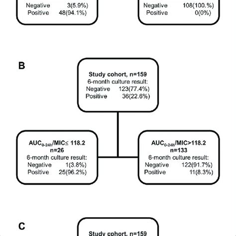 Image result for Classifcation Tree Graph Regression