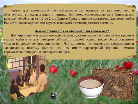 Калмыцкий чай: рецепт приготовления, польза и вред, как заваривать, состав