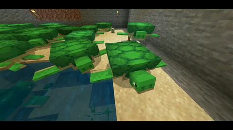 Image result for Minecraft Turtle Farm Tutorial