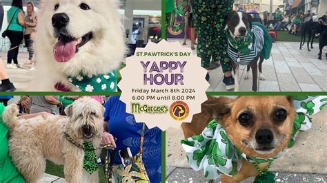 ST. PAWTRICKS DAY YAPPY HOUR! , BELL TOWER SHOPS, Pine Manor, 8 March ...