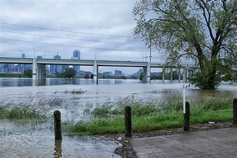 PHOTOS: Trinity River at flood levels - Dallas Voice