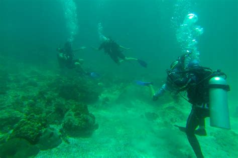 Check out all the latest activites happening in the UAE | Askexplorer.