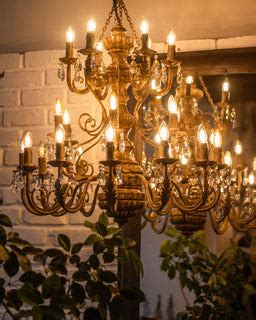 Buy hanging lights online | Pendant lamps | The Purple Turtles — Page 4 ...