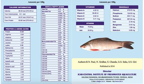 Why Should You Eat Rohu Fish: Rohu Fish Benefits - Find Health Tips