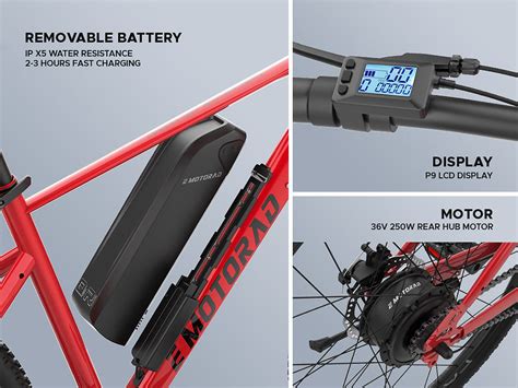 All Products | The Bicycle Studio