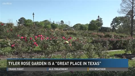 Tyler rose Garden officially a Great Place in Texas | cbs19.tv