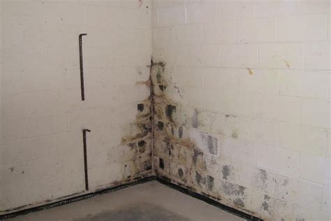 Image result for Basement Humidity Level