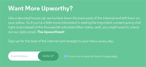 Image result for Email Opt-In