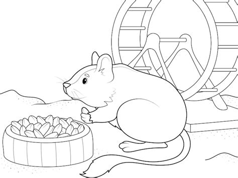 8 페이지 | 아기 햄스터 색칠하기 이미지 - Freepik에서 무료 다운로드