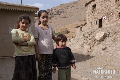 Image result for Java Kurd