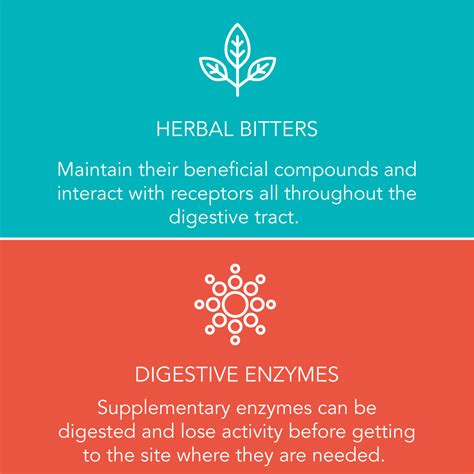 ENZYMES VS BITTERS | Women's Wellness