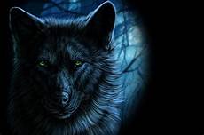 cool green wolf wallpaper majestic wolf wallpaper 183 wallpapertag cool green wolf wallpaper majestic wolf wallpaper 183 wallpapertag