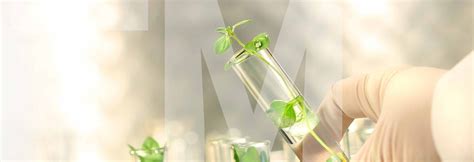 Dehydrated Culture Media Manufacturers & Suppliers - TMMedia