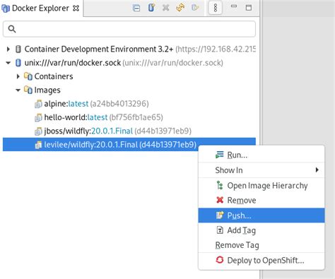Chapter 3. Developing with Docker in CodeReady Studio | Getting Started ...