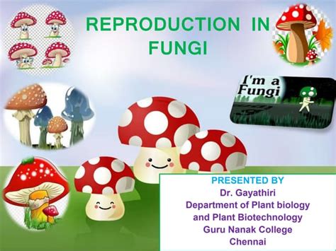 Image result for Fungi Reproduction