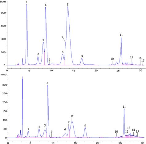 Anthocyanins Profile of Grape Berries of Vitis amurensis, Its Hybrids ...