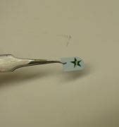 Image result for Applying Sticker Like Decals On Plastic Models