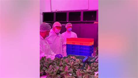 USDA Secretary visits Central Florida hydroponic farm, calls it a 'very ...