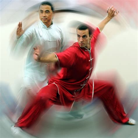 Martial Arts 的图像结果