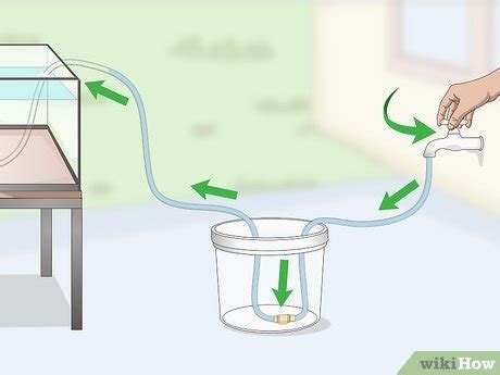 Image result for Siphon