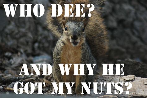 Deez Nuts Jokes Rare - Surveys Hyatt