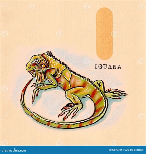 Alfabeto inglés, iguana stock de ilustración. Ilustración de libro - 87873704