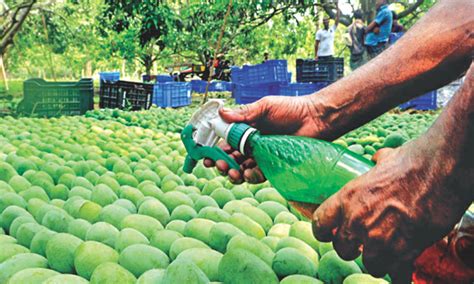 Large Scale Food Adulteration: Madras High Court Issues Directions For ...