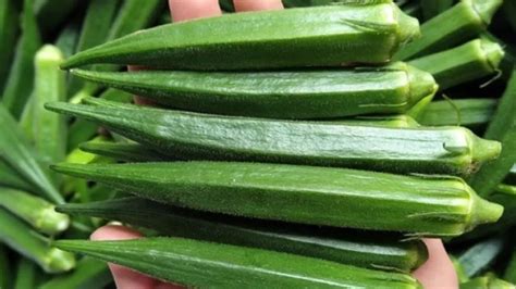 Okra: బెండకాయను తరచుగా తీసుకోవడం వల్ల ఆ సమస్యలకు చెక్ పెట్టడంతో పాటు ...