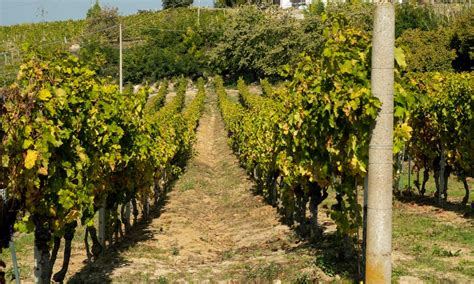 Vacation in Santorini | Discover Airlines